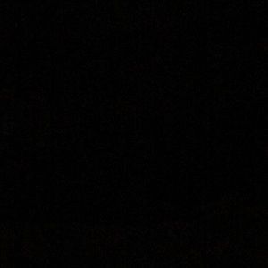 Meet your Posher, Ann